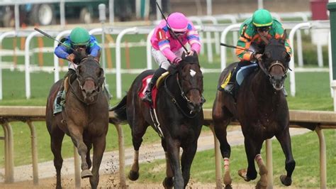 preakness picks.